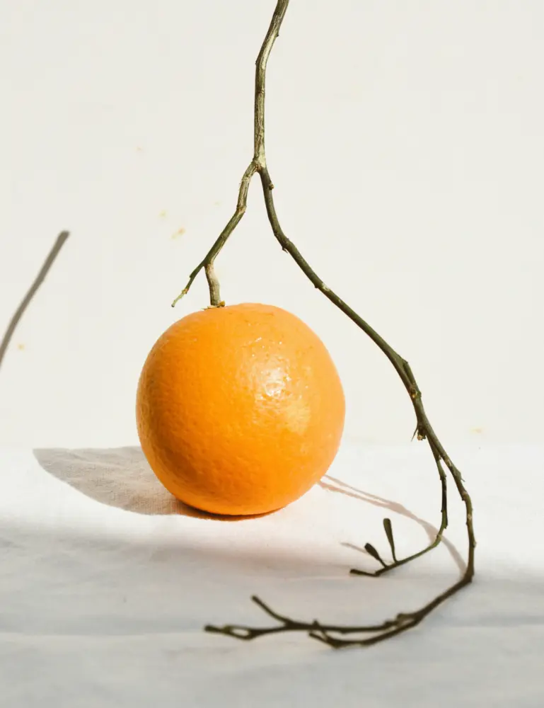 Citrus & Sandalwood 12 Oz Scented Candle - Image 4
