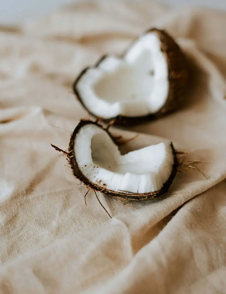 Coconut Cream 4 Oz Illuminating Body Oil - Image 4