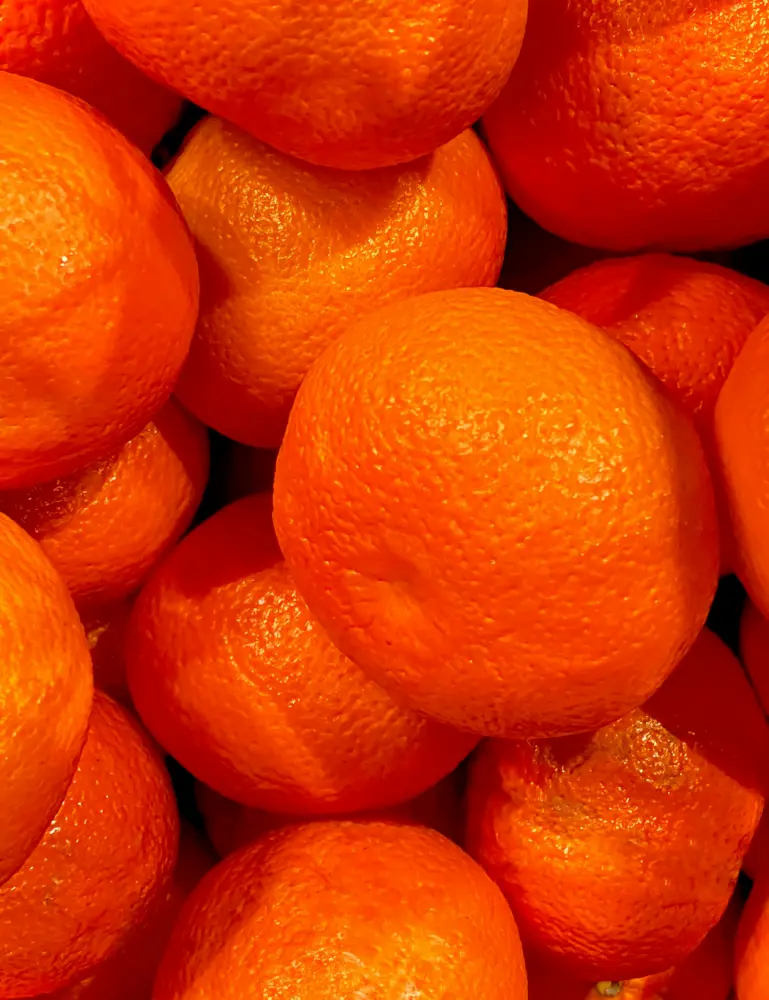 Mango & Sweet Tangerine 10 Oz Scented Candle - Image 2