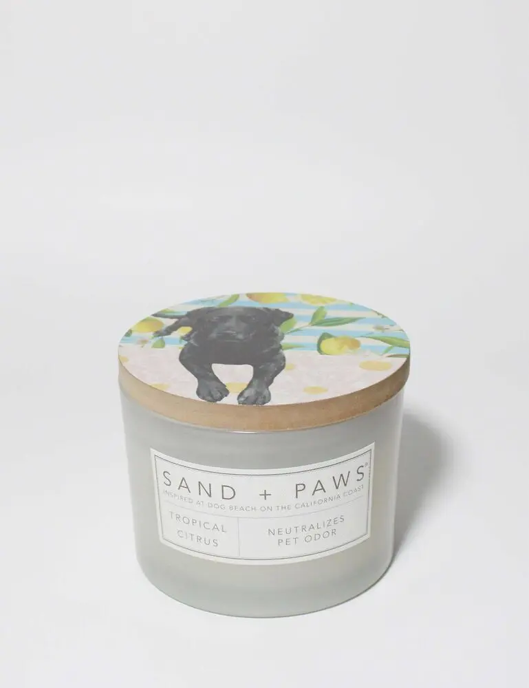 Sand + Paws Tropical Citrus 12 Oz Scented Candle